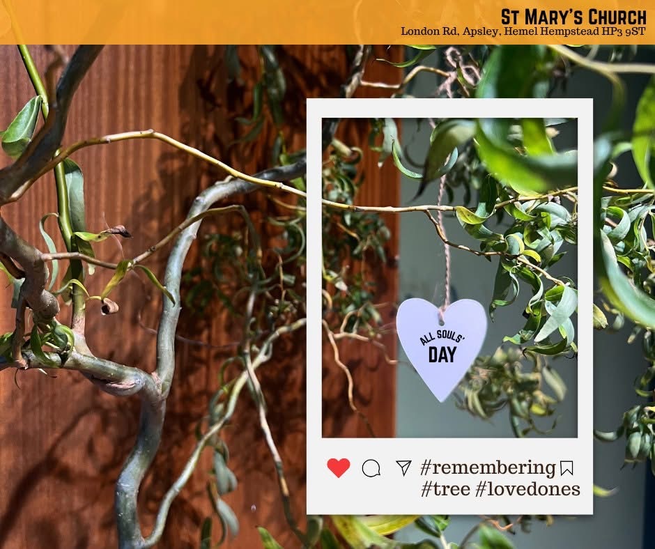 Remembrance Tree at St Mary’s Church, Apsley. As we approach All Saints and All Souls this weekend, St Mary’s would love to invite our local community to take part in our Remembrance Tree. From Thursday 30 October at 10am to 1pm Sunday 2 November , the tree will be outside the church. Take one of the hearts Write a message or the name of a loved one Tie it on the tree as a sign of remembrance and love On Sunday, the tree will move inside the church to form part of our prayer and reflection stations. Everyone is welcome to take part ,whether you’re passing by, lighting a candle, or simply pausing to remember. St Mary’s Church, Apsley End “Forever in our hearts and in God’s care.”